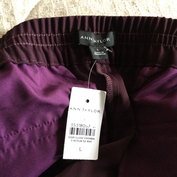 Ann Taylor lightweight dark plum pants NWT size L - Picture 5 of 8